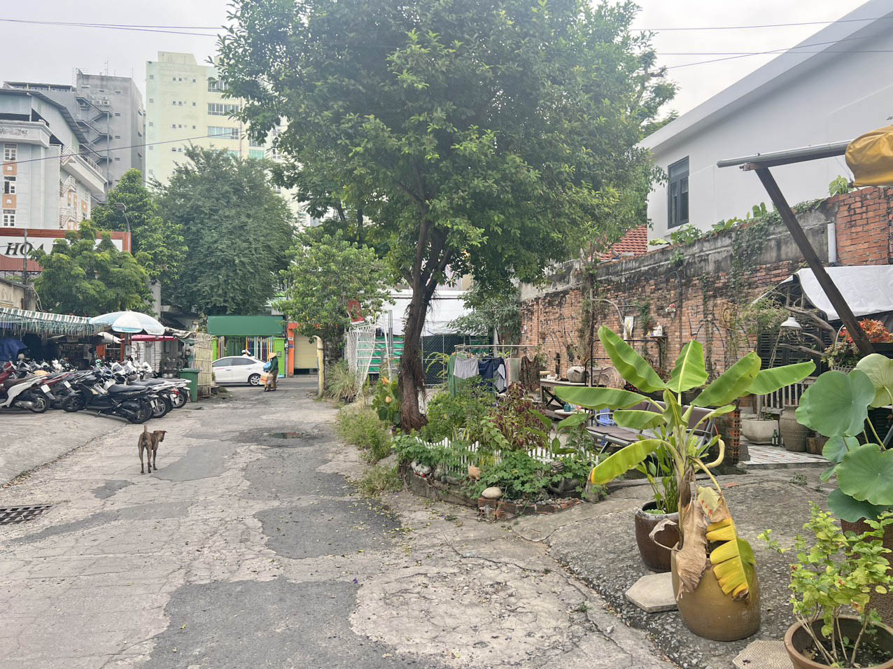 Cho thuê MC Mặt Tiền Đường Tú Xương P VTS Q3